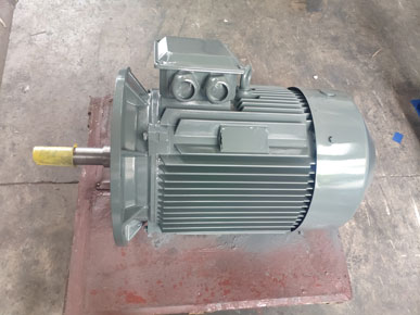 節能水泵電機圖片