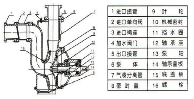 自吸式無阻塞排污泵結構圖